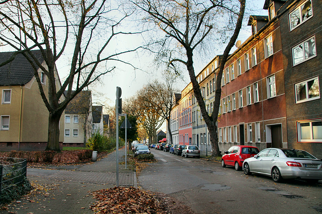 Marschallstraße (Gelsenkirchen-Bismarck) / 14.11.2020