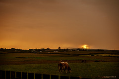 Storms and Sunset!