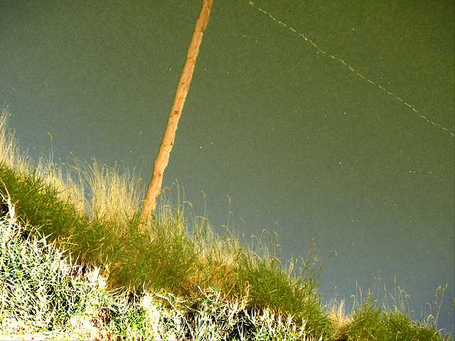 Pole reflection