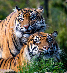 Mother and daughter