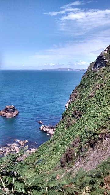 Taken from the path to the nudist beach, Fishing Cove, Reskajeage.