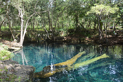 Dominican Republic, Blue Lake (Lago Azul) in the Jungle of Eastern Haiti