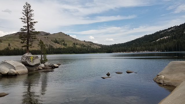 White Rock Lake