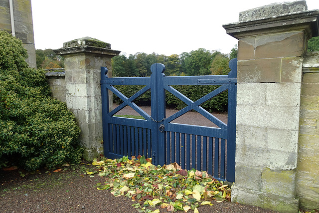 Autumn Leaf Fall By A Blue Gate