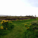 Ring of Brodgar