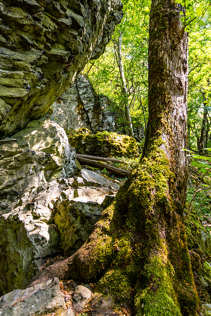 Gangolfberg - 20150812