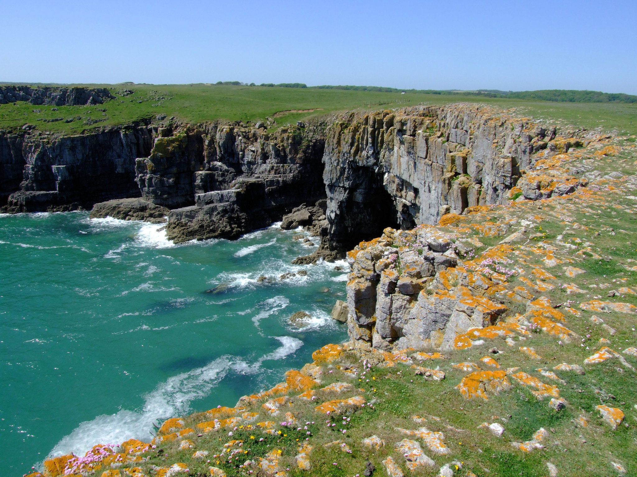 Sea Cliffs near Barafundle Beach