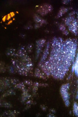 Looking Out Into The Illuminated Darkness