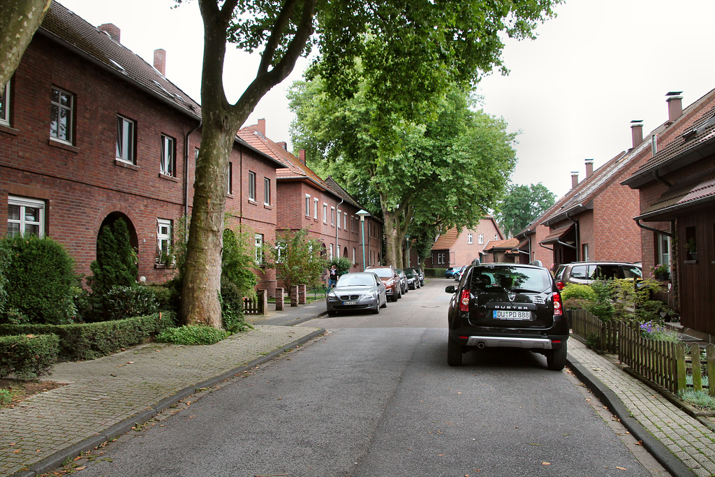 Heckenweg (Siedlung Wehofen, Duisburg) / 16.07.2017