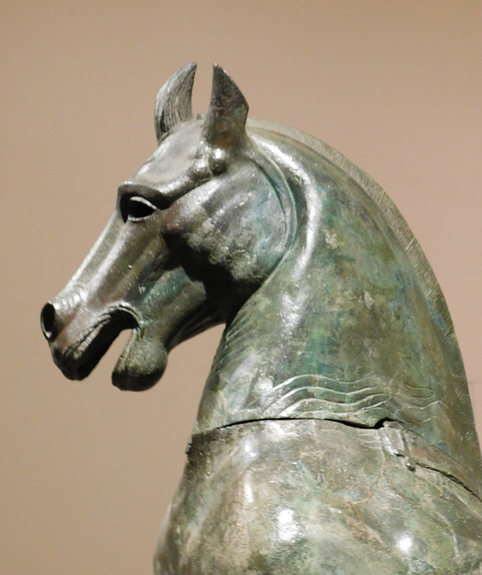 Detail of the Rearing Horse in the Metropolitan Museum of Art, June 2019