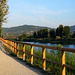 evening walk along the river (PIP)