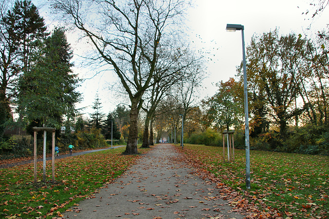 Weg über der U-Bahn-Trasse (Gelsenkirchen-Bismarck) / 14.11.2020