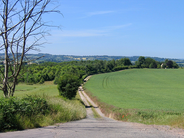 Looking towards Upper Whittimere Farm from the B4176.