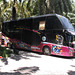 Chokmalidang bus (Thaïlande)
