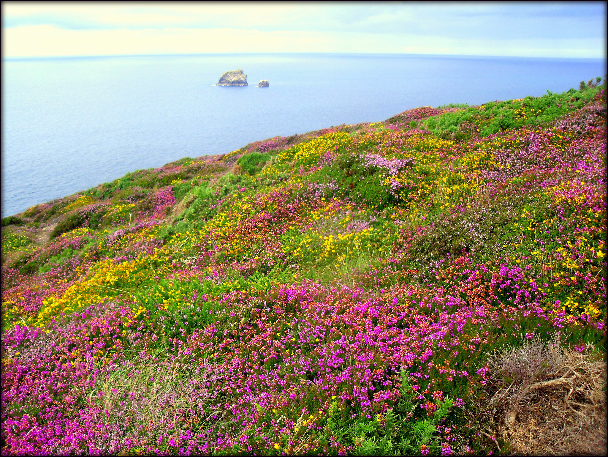 Newdowns Head and Man-and-His-Man (or Cow-and-Calf or Bawden Rocks).