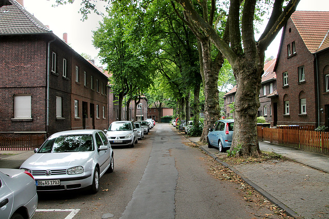 In den Bremmen (Siedlung Wehofen, Duisburg) / 16.07.2017