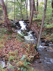 A small waterfall