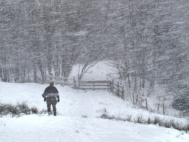 The heart of Winter