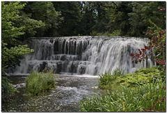 Rutter Force