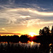 Sonnenuntergang im Britzer Garten