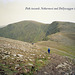 Path towards Nethermost and Dollywaggon Pikes (Scan from June 1994)