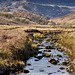 Crowden Great Brook