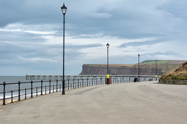 Fences at Saltburn.