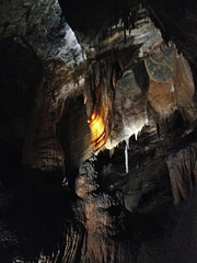 Gunns Plains Cave