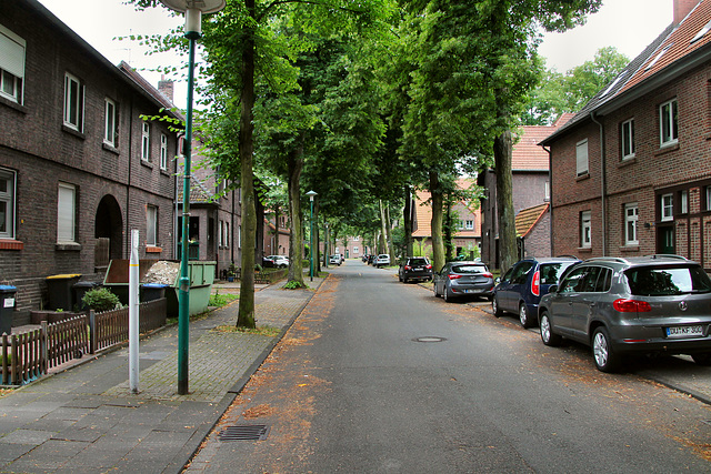 In den Bremmen (Siedlung Wehofen, Duisburg) / 16.07.2017