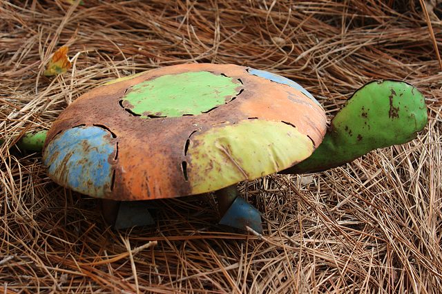 Whimsical Turtle.... friend's home  ~~ Fall 2020