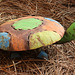 Whimsical Turtle.... friend's home  ~~ Fall 2020