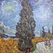 Detail of Country Road in Provence by Night by Van Gogh in the Metropolitan Museum of Art, July 2023