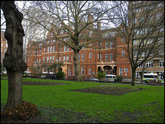 Queen Square hospital
