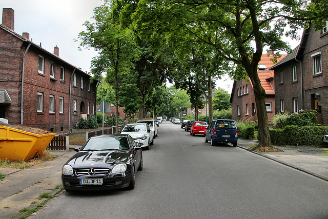 Unter den Linden (Siedlung Wehofen, Duisburg) / 16.07.2017