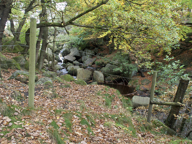 Top 0f Padley Gorge HFF