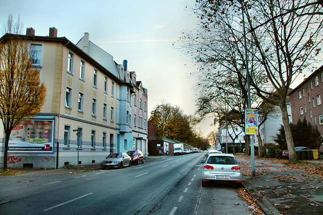 B227 Bismarckstraße (Gelsenkirchen-Bismarck) / 14.11.2020