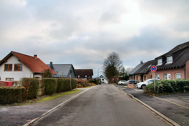 Auf dem Blick (Holzwickede-Opherdicke) / 25.12.2020