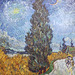 Detail of Country Road in Provence by Night by Van Gogh in the Metropolitan Museum of Art, July 2023