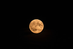 20260629-Z5C 0288-LR