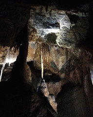 Gunns Plains Cave