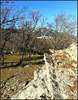 Bosque de La Herrería and San Lorenzo de El Escorial