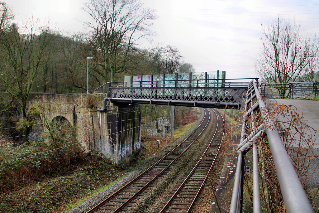 Die Hundebrücke über der Prinz-Wilhelm-Eisenbahn (Essen-Byfang) / 10.01.2021