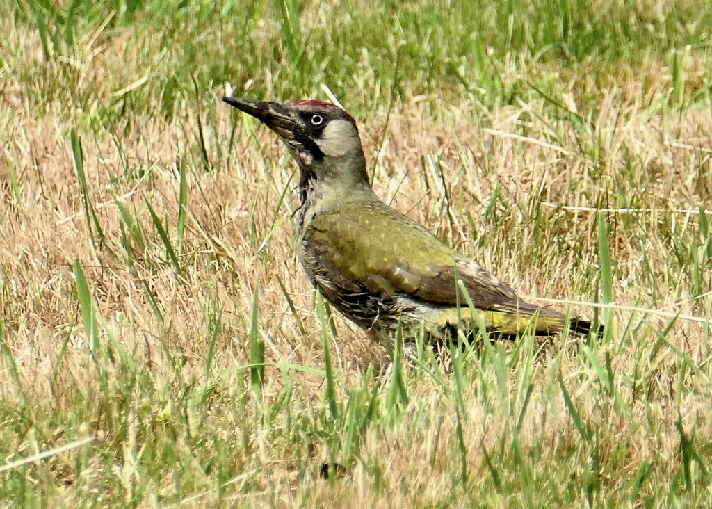 P1120473