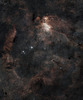 Prawn Nebula Area Pano IC 4628