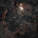 Prawn Nebula Area Pano IC 4628