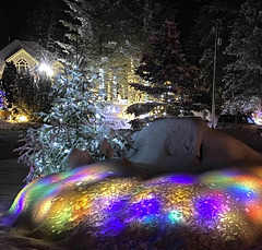 Christmas Lights covered under snow.