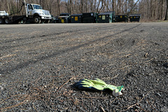 Lost Green Glove