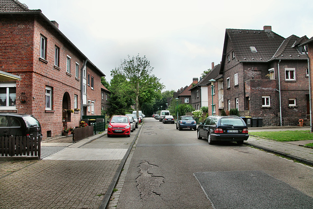 Im Birkenhain (Siedlung Wehofen, Duisburg) / 16.07.2017