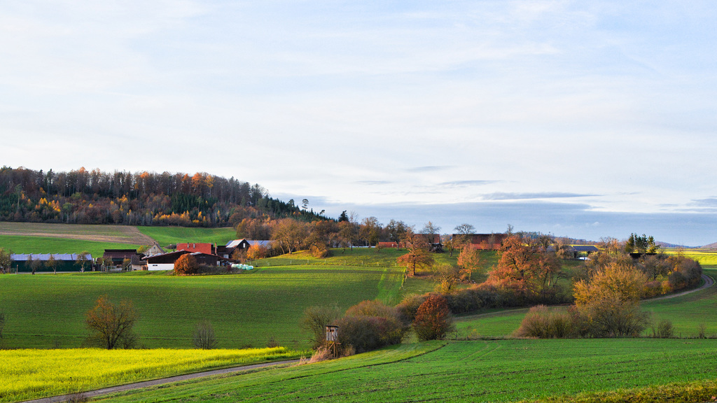 Landschaft