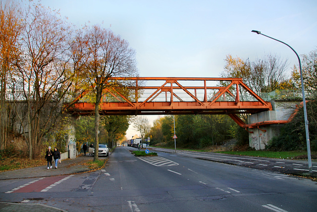 Brücke der ehem. Consol-Zechenbahn über der Bickernstraße (Gelsenkirchen-Bismarck) / 14.11.2020